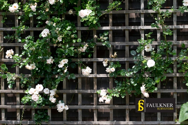 Can I put trellis on my Neighbours garage wall? 2 Do you want to adapt your neighbours garage door and add a trellis Islington? Talk to Faulkner Surveyor Islington